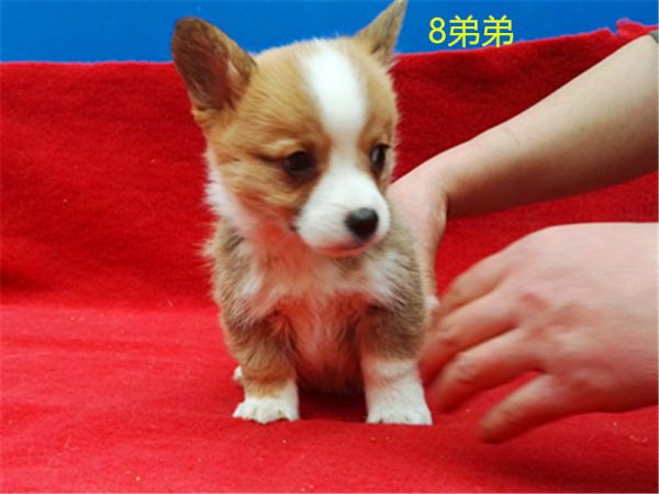 新建文件夹 (7)IMG_20160317_173209.jpg