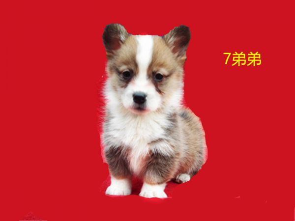 新建文件夹 (7)IMG_20160317_174121.jpg