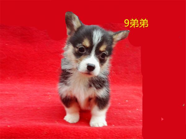 新建文件夹 (7)IMG_20160317_175317.jpg