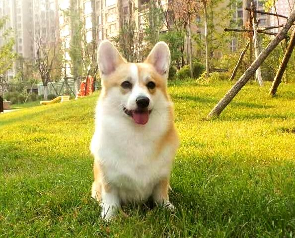 LAFu.jpg