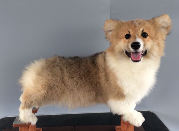 CO&amp;MOYE20151102 4月18天留念 2D-1.jpg