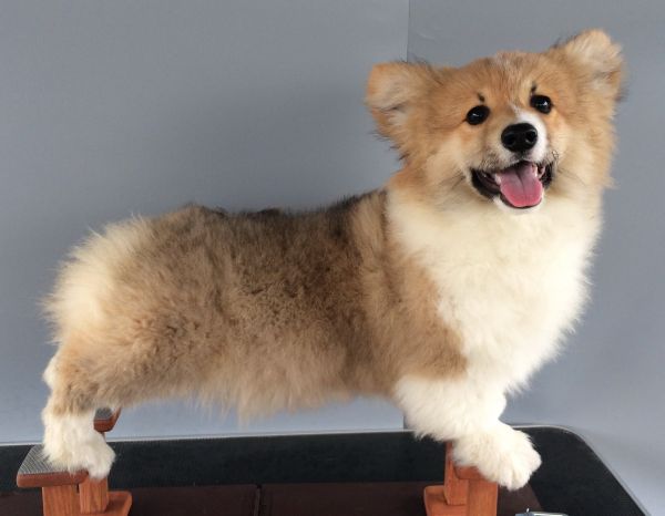 CO&amp;MOYE20151102 4月18天留念 2D-2.jpg