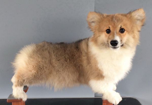 CO&amp;MOYE20151102 4月18天留念 2D-4.jpg