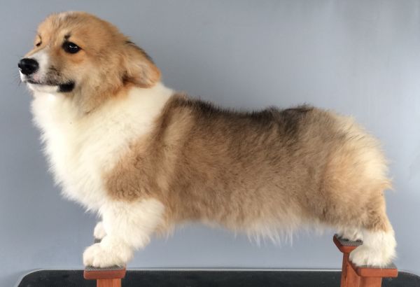 CO&amp;MOYE20151102 4月18天留念 2D-30.jpg