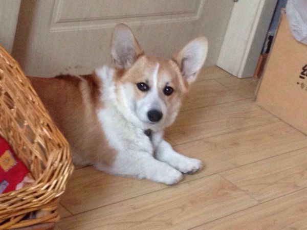 853565318176526211.jpg