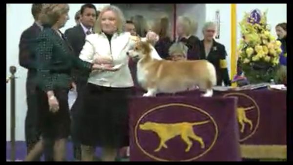 BOS.jpg
