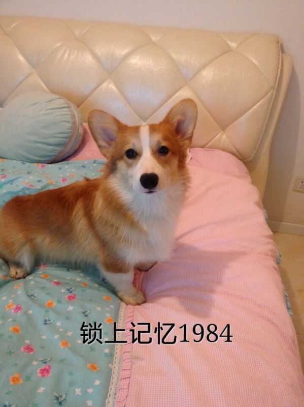 QQ图片20160220114917.jpg