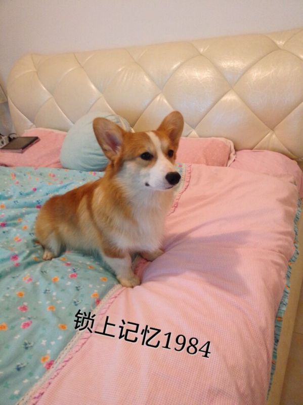QQ图片20160220114952.jpg