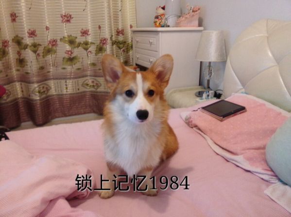 QQ图片20160220114956.jpg