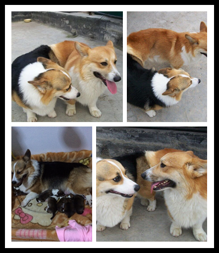 羞羞照.png