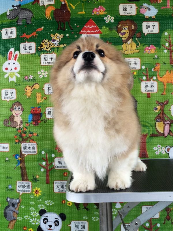 CO&amp;MOYE20151102  3月半龄0224留影 4M-10.jpg