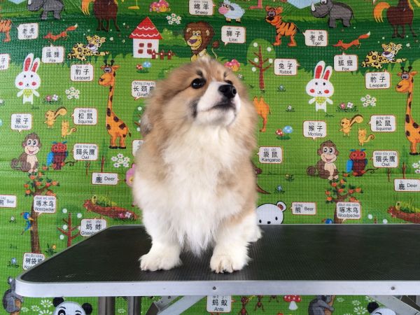 CO&amp;MOYE20151102  3月半龄0224留影 4M-12.jpg