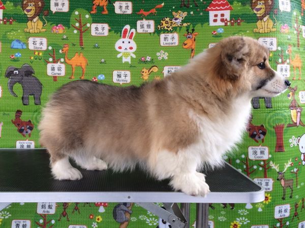 CO&amp;MOYE20151102  3月半龄0224留影 4M-15.jpg