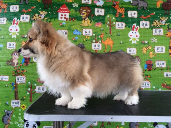 CO&amp;MOYE20151102  3月半龄0224留影 4M-20.jpg