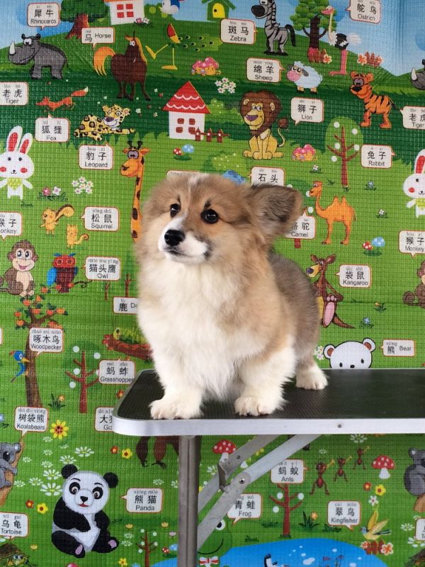 CO&amp;MOYE20151102  3月半龄0224留影 4M-26.jpg