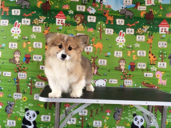 CO&amp;MOYE20151102  3月半龄0224留影 4M-28.jpg