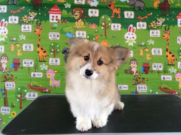 CO&amp;MOYE20151102  3月半龄0224留影 4M-37.jpg