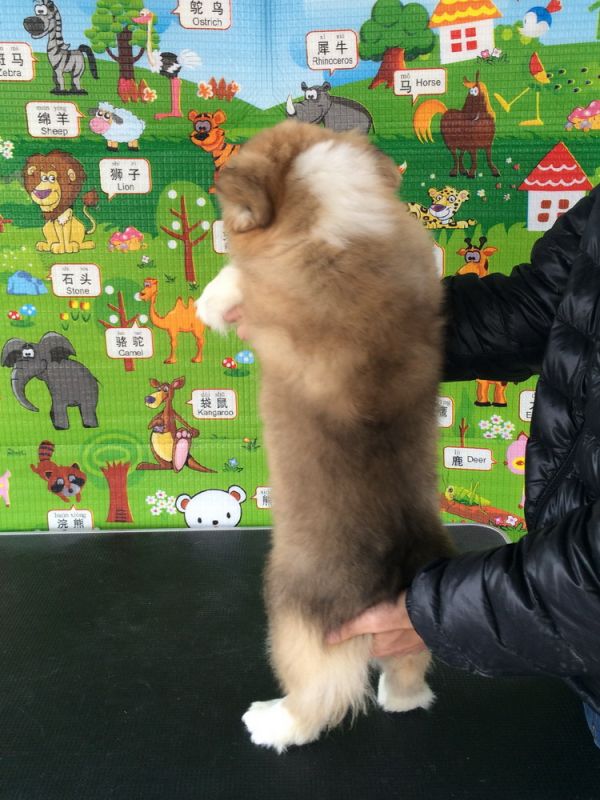 CO&amp;MOYE20151102  3月半龄0224留影 4M-44.jpg