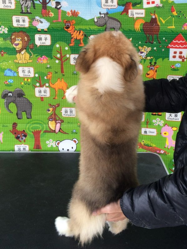 CO&amp;MOYE20151102  3月半龄0224留影 4M-46.jpg