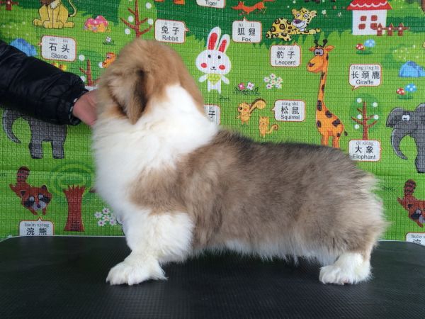 CO&amp;MOYE20151102  3月半龄0224留影 2D-1.jpg