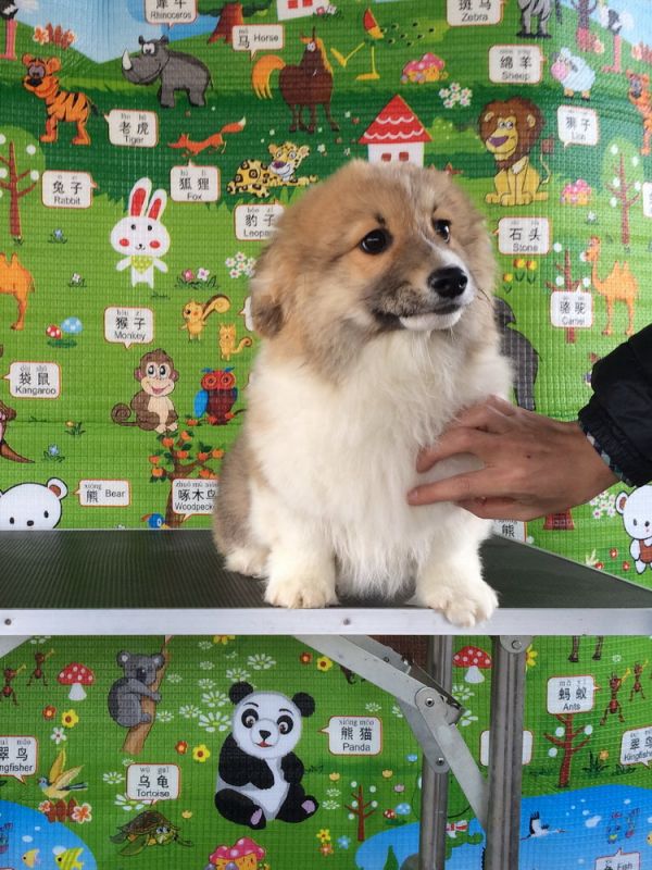 CO&amp;MOYE20151102  3月半龄0224留影 2D-8.jpg