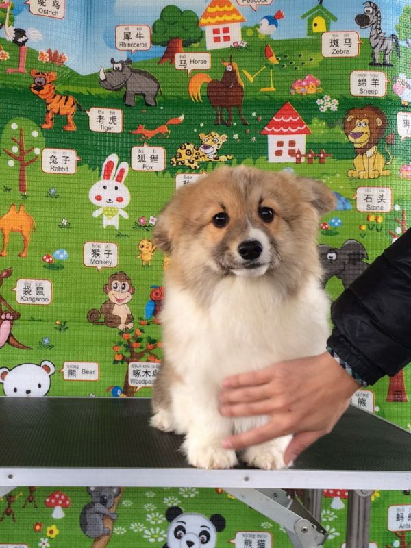 CO&amp;MOYE20151102  3月半龄0224留影 2D-10.jpg