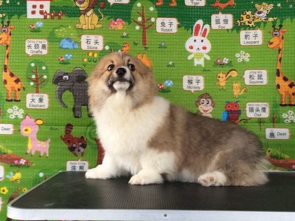 CO&amp;MOYE20151102  3月半龄0224留影 2D-11.jpg