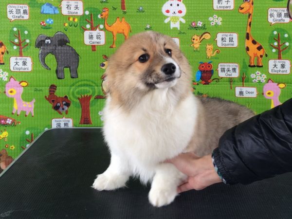 CO&amp;MOYE20151102  3月半龄0224留影 2D-15.jpg