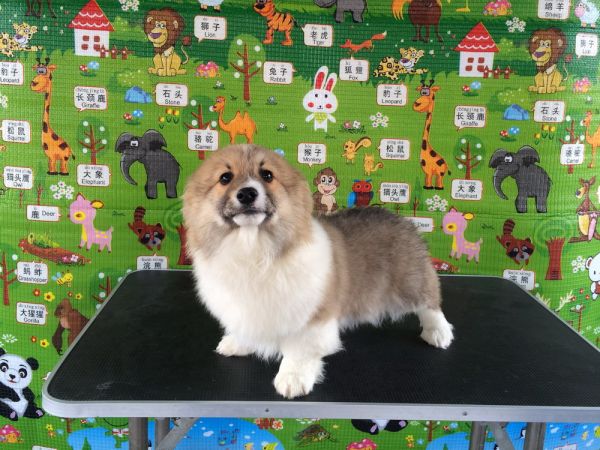 CO&amp;MOYE20151102  3月半龄0224留影 2D-17.jpg