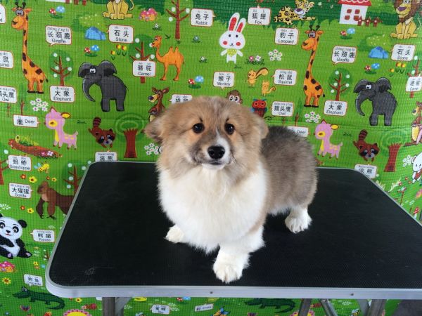 CO&amp;MOYE20151102  3月半龄0224留影 2D-22.jpg