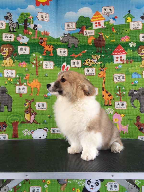 CO&amp;MOYE20151102  3月半龄0224留影 2D-26.jpg