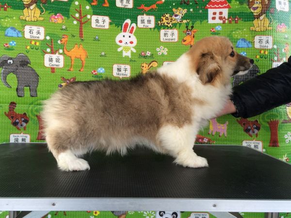 CO&amp;MOYE20151102  3月半龄0224留影 2D-30.jpg