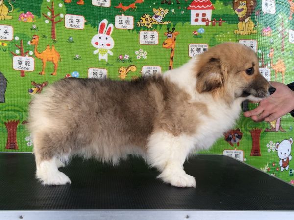 CO&amp;MOYE20151102  3月半龄0224留影 2D-32.jpg