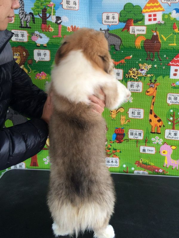 CO&amp;MOYE20151102  3月半龄0224留影 2D-48.jpg