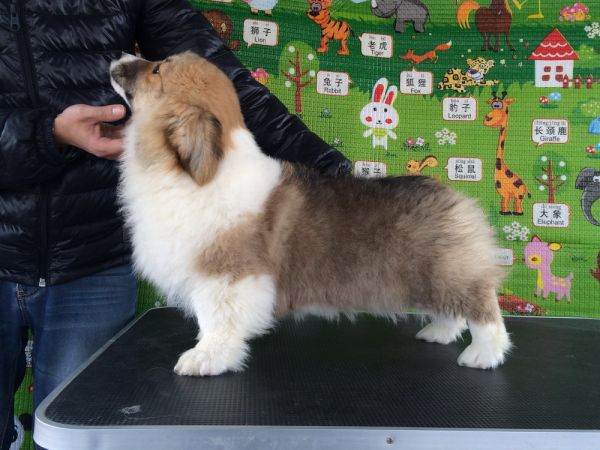 CO&amp;MOYE20151102  3月半龄0224留影 2D-49.jpg