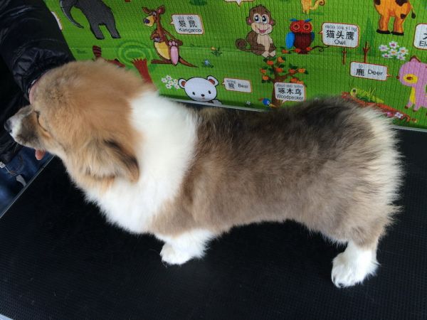 CO&amp;MOYE20151102  3月半龄0224留影 2D-50.jpg