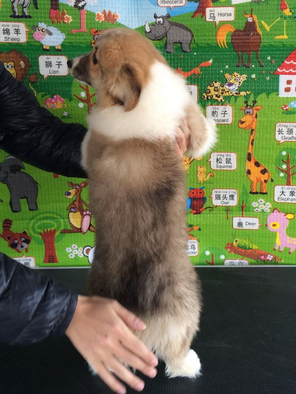 CO&amp;MOYE20151102  3月半龄0224留影 2D-51.jpg