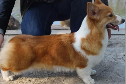 22.png