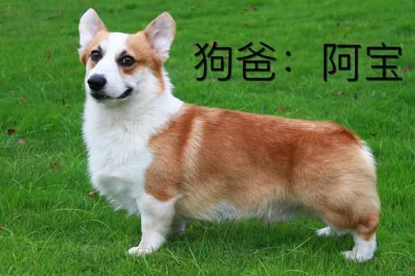 IMG_3225_副本.jpg