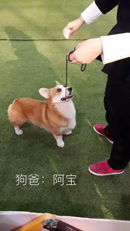 IMG_3227_副本.jpg