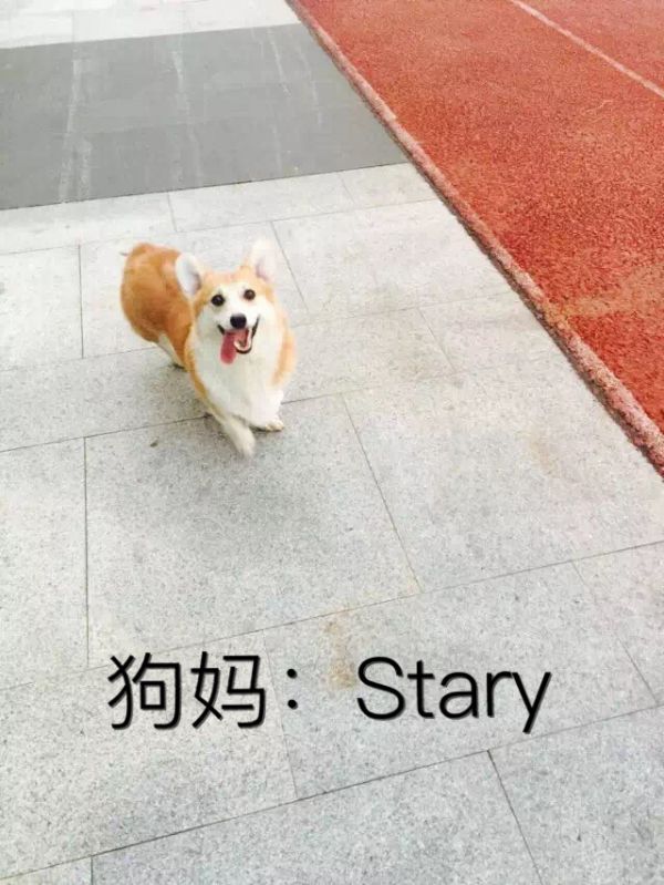 IMG_3230_副本.jpg