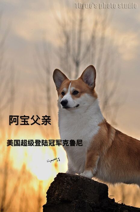 QQ图片20160226133052_副本.jpg