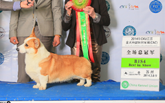QQ截图20140430153547_副本.png