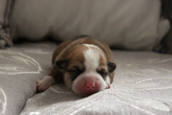 44.jpg