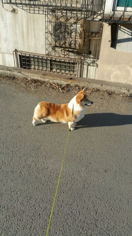 6_副本.jpg