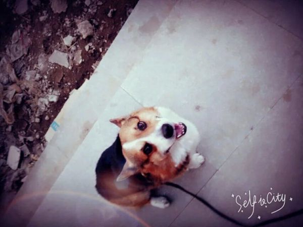 QQ图片20160328130330.jpg