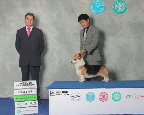 馒头..jpg