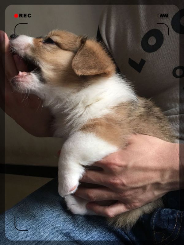 image.jpeg