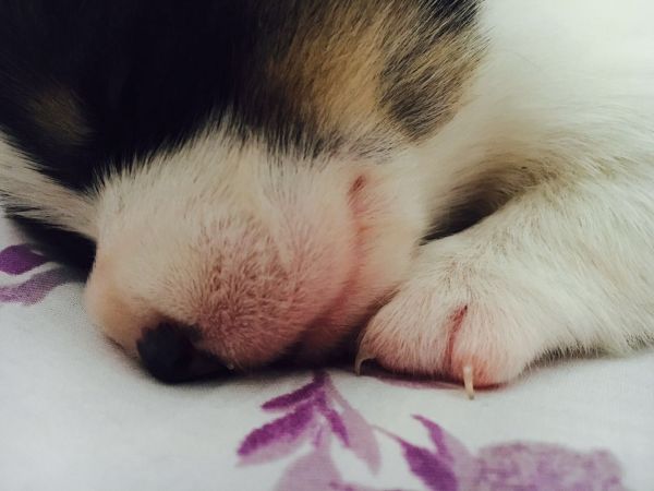 796465024663266809.jpg