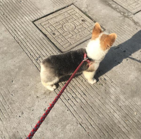 QQ截图20160405221337.jpg